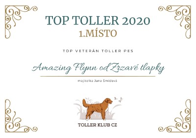 top-toller_veteran_2020.jpg