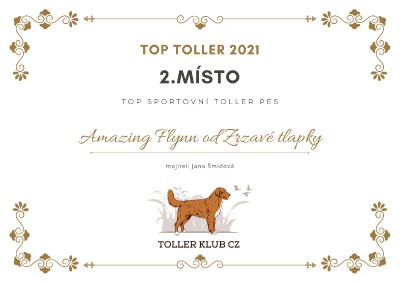 top-toller_sportovni_2021.jpg