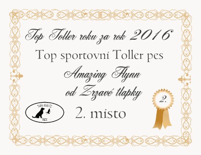 top-toller_sportovni_2016.jpg