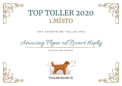 top-toller_sportovni_2020.jpg